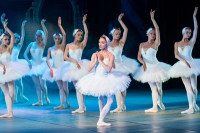 Brazilian Ballet's plight: Rio de Janerio's ballerinas forced